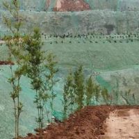 綿陽推進涉礦生態環境問題綜合整治，近一年實地檢查礦山超100座